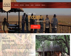 graphics forge web design protfolio